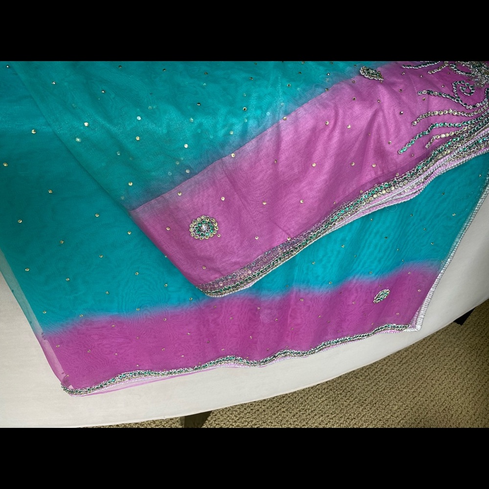 Glamorous Net Sari - image 3